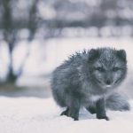 1xbet香港:新手玩家必知的投注技巧与策略分享 cz9t6i