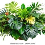 12betapp最新优惠活动及如何获取更多奖励 h7cghbd