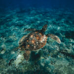 31号大乐透最新开奖结果公布,快来看看你中奖了吗? b4u9de2nv