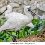 31选7今日开奖号码揭晓,幸运大奖花落谁家? j6oky